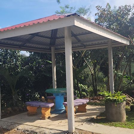 Cabinas El Pilon Rio Celeste מראה חיצוני תמונה