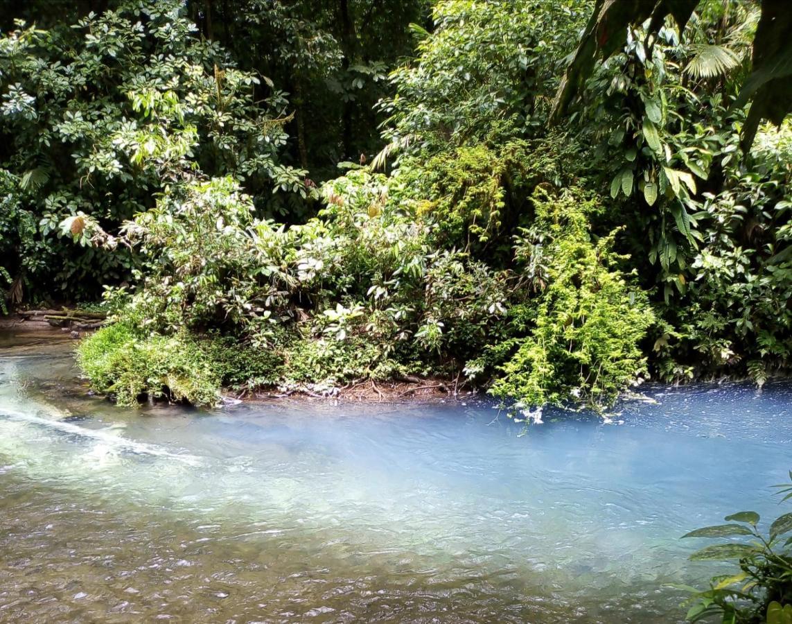 Cabinas El Pilon Rio Celeste מראה חיצוני תמונה