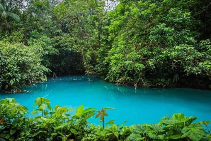 Cabinas El Pilon Rio Celeste מראה חיצוני תמונה