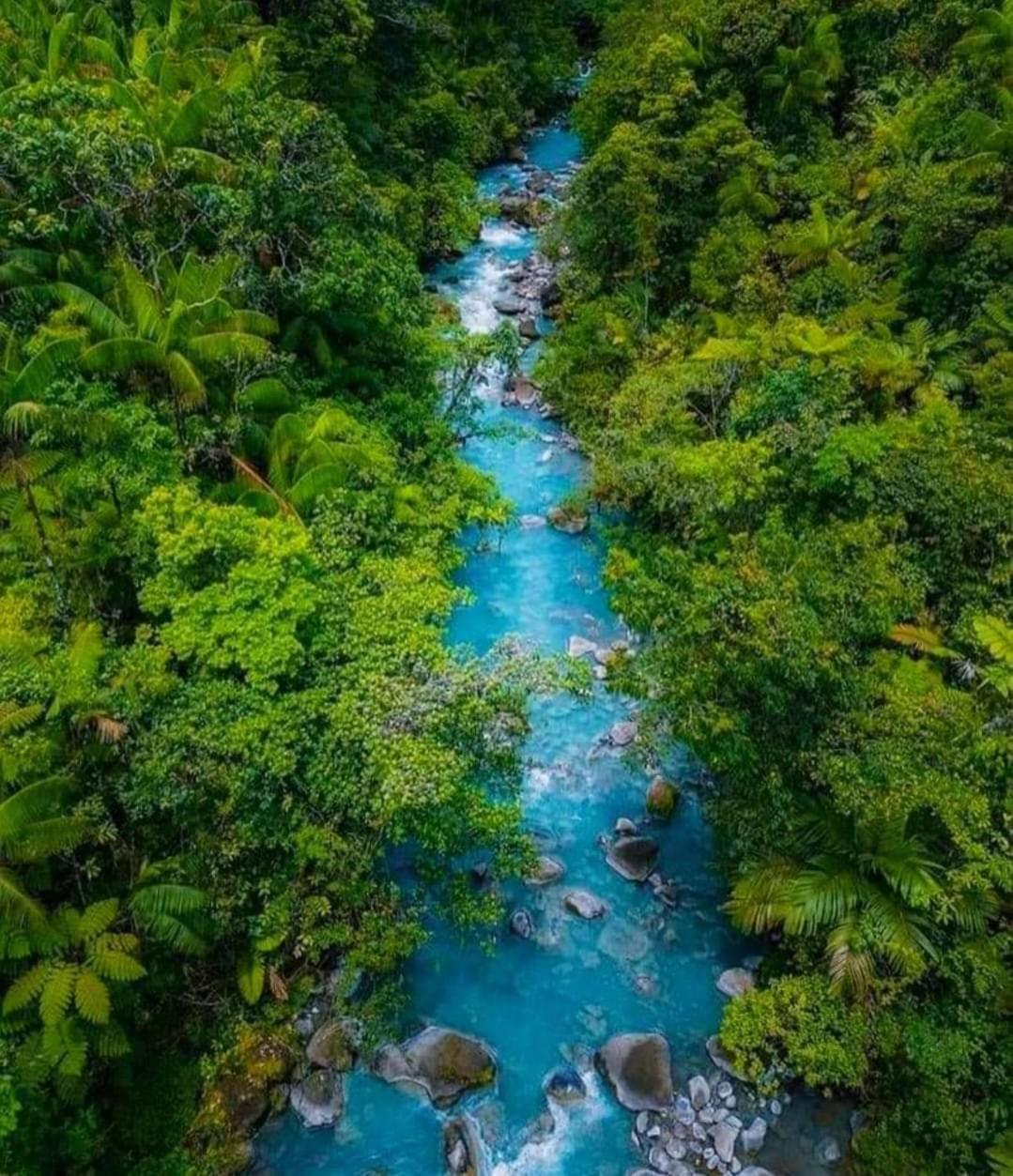 Cabinas El Pilon Rio Celeste מראה חיצוני תמונה
