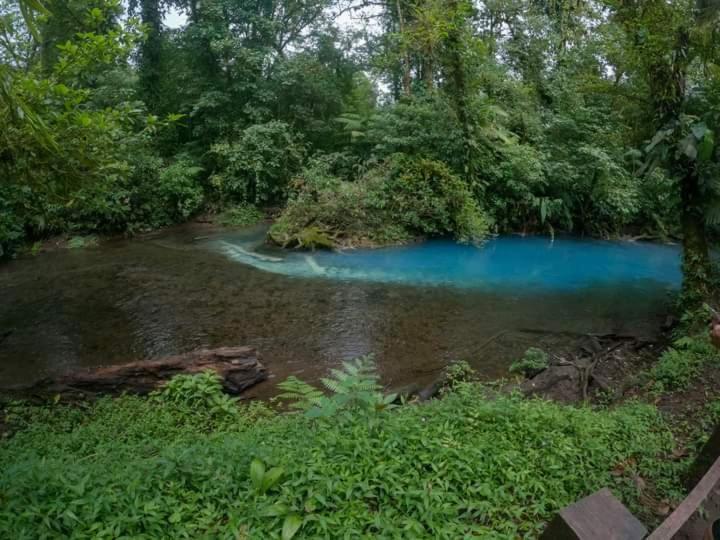 Cabinas El Pilon Rio Celeste מראה חיצוני תמונה
