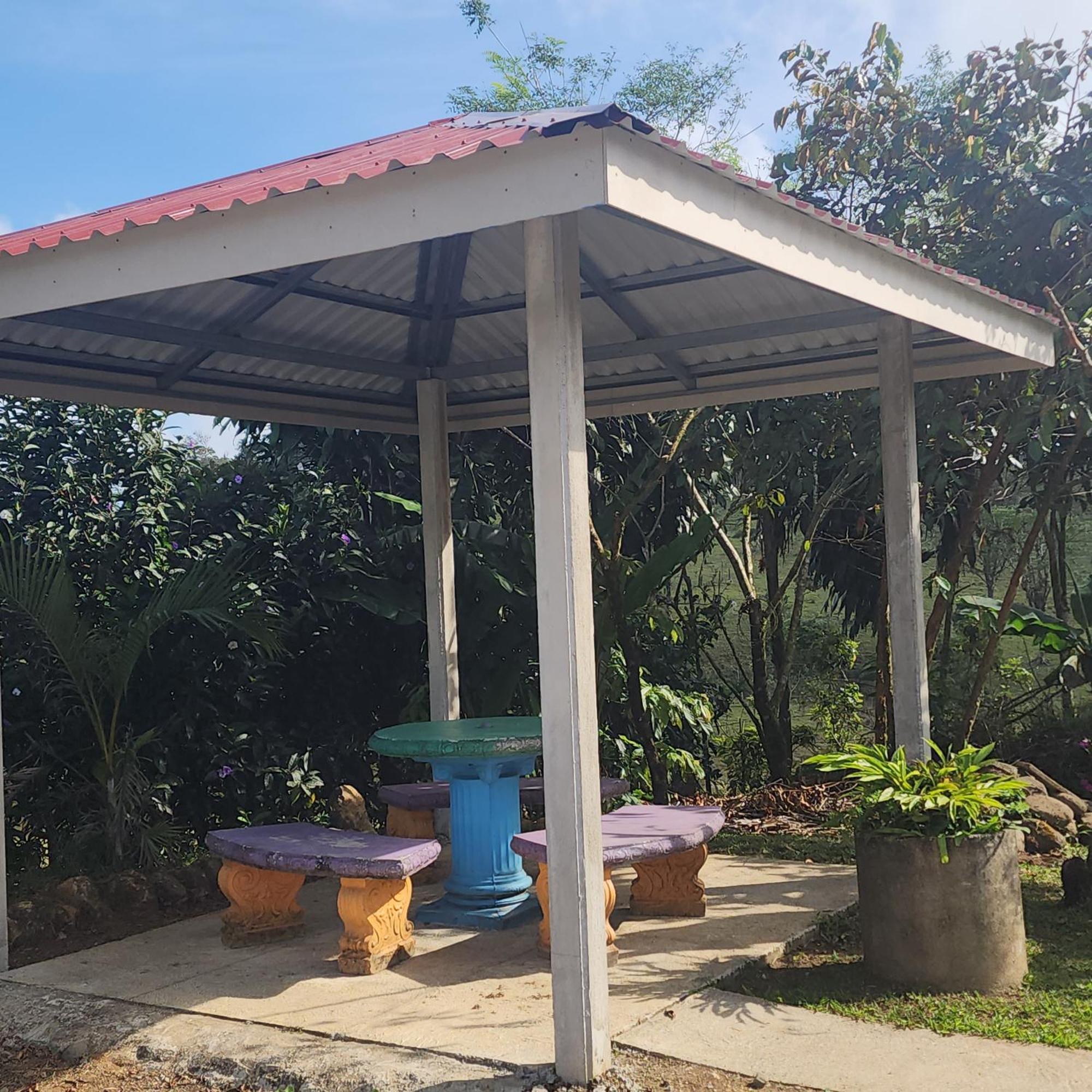 Cabinas El Pilon Rio Celeste מראה חיצוני תמונה